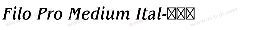 Filo Pro Medium Ital字体转换